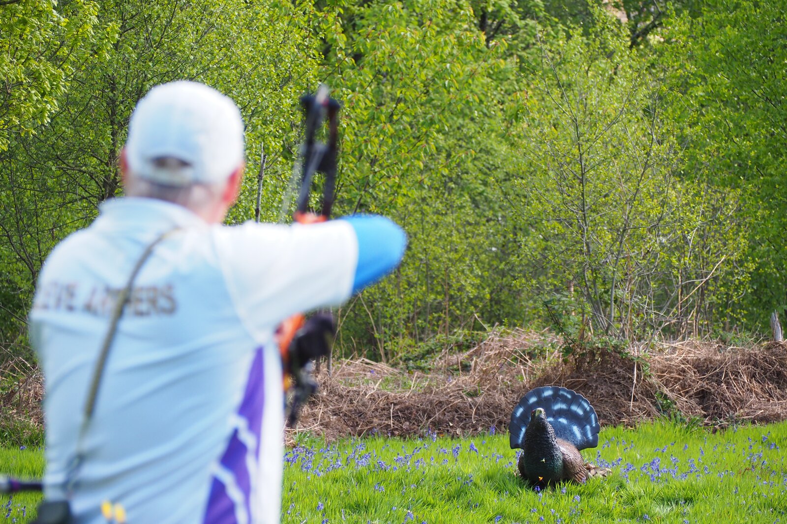 HTH电竞Archery英国三维锦标赛